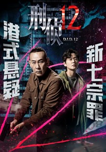 刑侦12(粤)