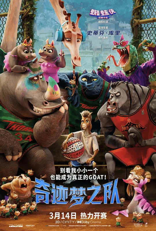 奇迹梦之队